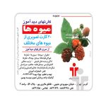 کارت دیدآموز میوه ها
