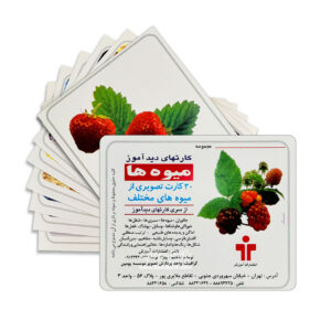 fruits educational card 6