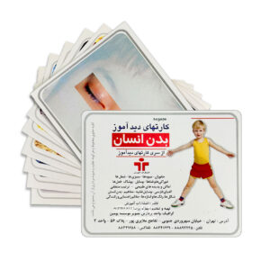 the human body educational card 1 1