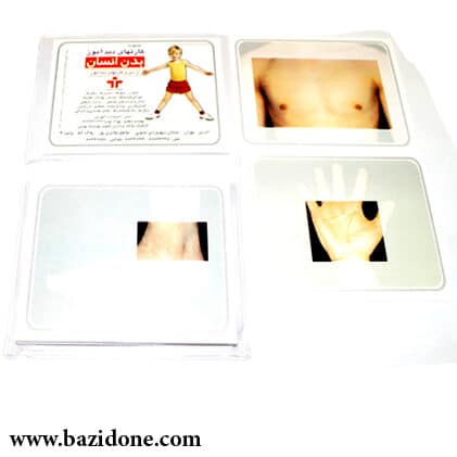 the human body educational card1
