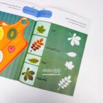 کتاب AQ هوش انطباقی ( 2 تا 3 سال ) - Image 3