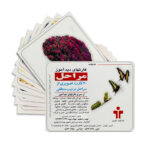 کارت دیدآموز مراحل رشد