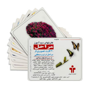 educational card growth stages 1