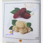 نخستین کلمات سادهی بیانی کودک - Image 3