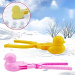 قالب شن بازی اردک