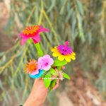 باغچه ی من - Image 6