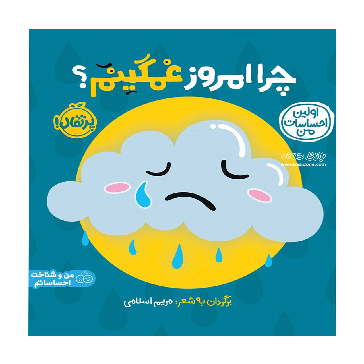 the-book-why-am-i-sad-today کتاب اولین احساسات من ( چرا امروز غمگینم ؟ ) - Image 1