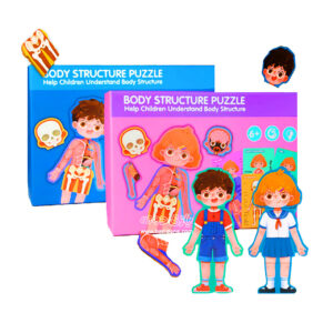 body structure puzzles 1